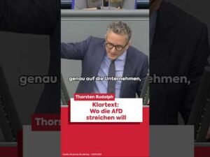SPD-Fraktion im Bundestag – Aufgedeckt: Hier will die AfD Gelder streichen!