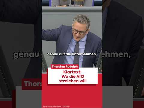 Aufgedeckt: Hier will die AfD Gelder streichen!