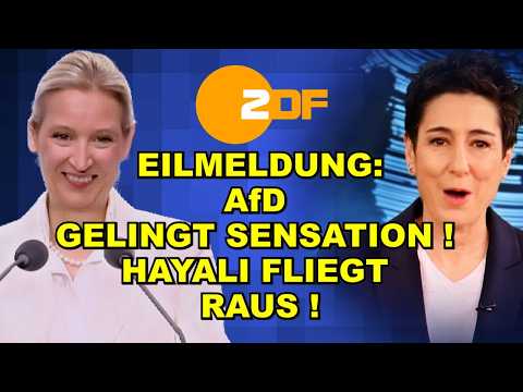EIL: AfD-Sensation! Hayali FLIEGT RAUS!