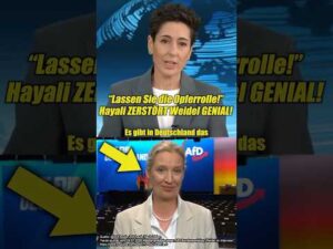 DerDara – Politik, News & Debatte – Dunja Hayali ZERSTÖRT Alice Weidel Im Interview!