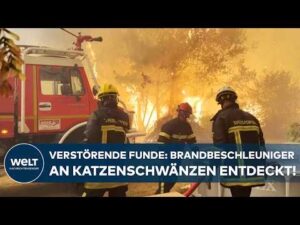 WELT Nachrichtensender – EUROPA IN FLAMMEN: „Ich habe wirklich Angst!“ Feuerwalze vor Bordeaux – Hunderttausende flüchten
