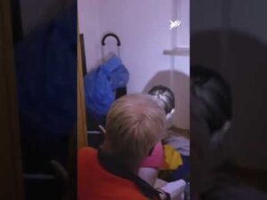 Noteinsatz in München: Tierärzte wollen bissigen Kater behandeln | stern TV