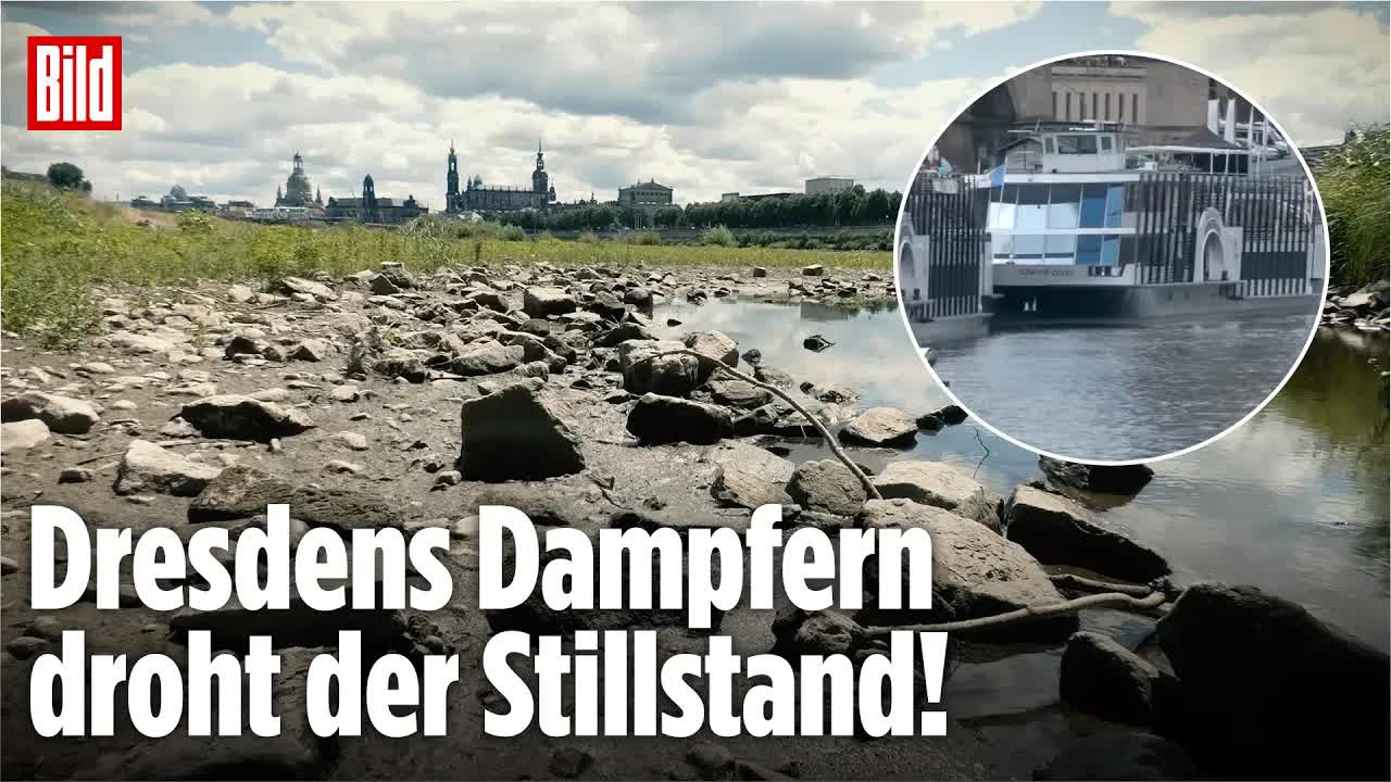 DRESDEN: Pegel der Elbe im Keller – Schifffahrt droht das Aus!