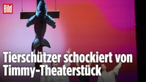 Drama um Wal Timmy im Theater: BILD-Reporter bei „Timmy – Die Hope stirbt zuletzt“ in Hamburg