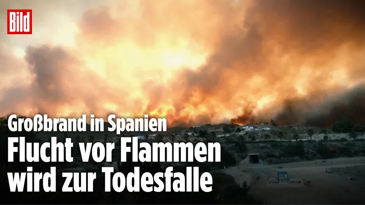 Riesen-Inferno in Spanien: Waldbrand fordert mindestens zwölf Tote