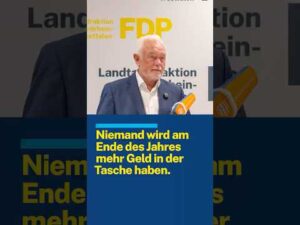 FDP – Niemand wird durch dieses Paket entlastet! | Wolfgang Kubicki