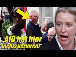 DerDara – Politik, News & Debatte – Peinliche AfD-Aktion Führt Zu GEWALT! Echter Stauffenberg-Nachfahre WIDERLEGT Ihre LÜGEN!