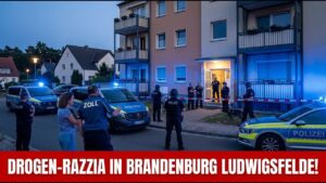 🔴 LIVE ‼️ DROGEN -RAZZIA IN BRANDENBURG LUDWIGSFELDE‼️
