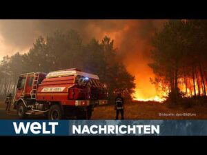 WELT Nachrichtensender – SÜDEUROPA IN FLAMMEN! Über 250.000 Menschen evakuiert – nationaler Notstand in Spanien! WELT STREAM