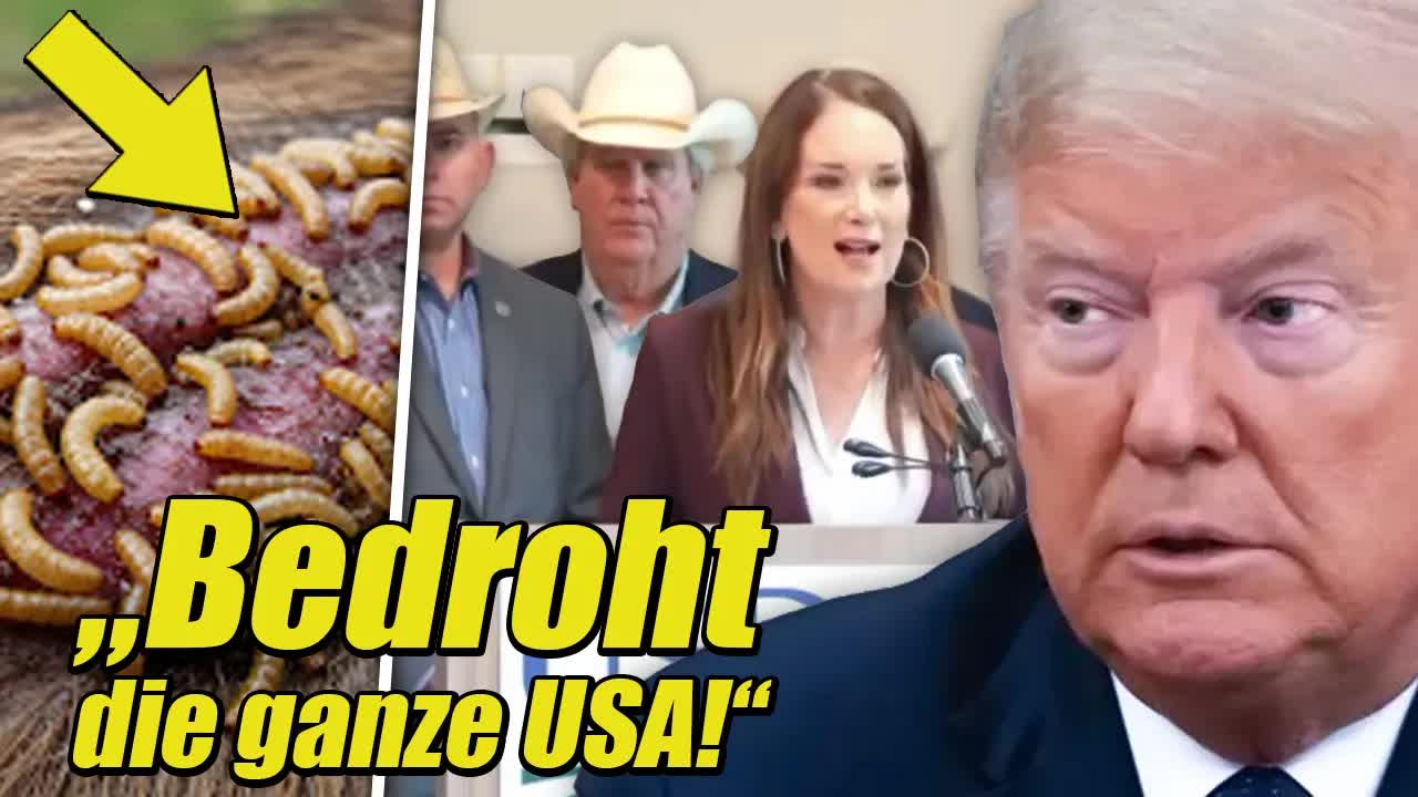 "Schon 10 Todesopfer!" Trump's DUMMHEIT Hat Eine Plage Aus Den 60ern WIEDERBELEBT!