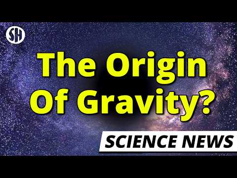 Physicists Say They Know the Origin of Gravity