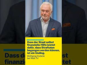 FDP – Wolfgang Kubicki bei Welt TV.