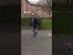 DER SPIEGEL – »Hund auf Spielwiese, was machen wir jetzt?« | SPIEGEL TV Shorts