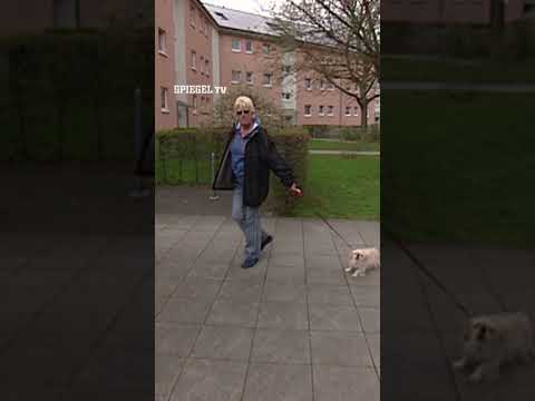 »Hund auf Spielwiese, was machen wir jetzt?« | SPIEGEL TV Shorts