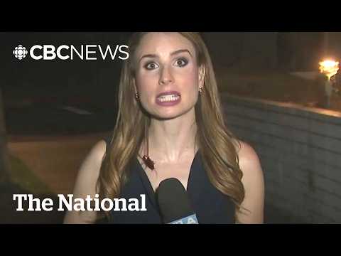 Giant cockroach crawls on reporter during live broadcast | The Moment
