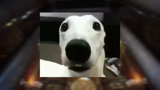 Die seltsamste TikTok-Psychose dieses Jahres