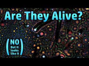 Atomic Shrimp – Playing With Particle Life