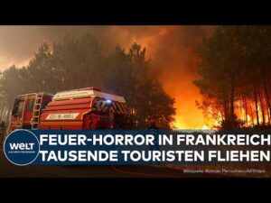 WELT Nachrichtensender – FRANKREICH: Tausende Touristen evakuiert! Waldbrand wütet weiter im Südwesten Frankreichs!
