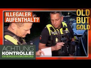 Achtung Kontrolle – Betrunken, ohne Visum & bewaffnet: Autobahnpolizei BEENDET Fahrt! | Old But Gold
