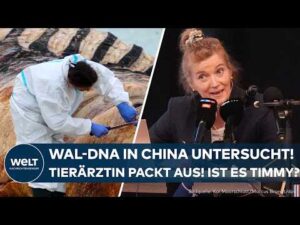 RÄTSEL UM TIMMY: Bizarre Pressekonferenz! Tierärztin packt aus – Das ist mit der Wal-DNA passiert