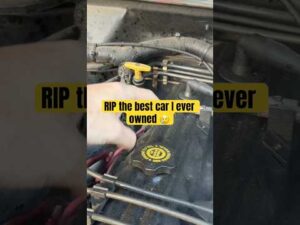 RIP 😢