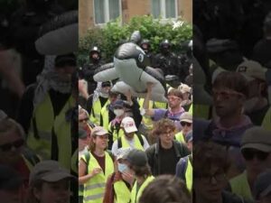 Morgens in Erfurt: Gegendemo bei AfD-Bundesparteitag | stern TV