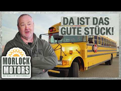 Das Bus-Baby möchte aus dem Hafen abgeholt werden! | Morlock Motors