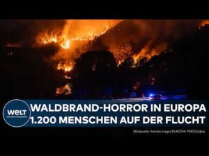 FEUER-HORROR: Trifft Südeuropa! Waldbrände wüten in Spanien, Frankreich und Italien