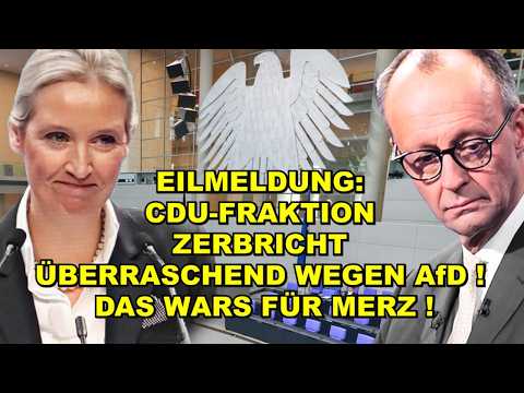 EIL: CDU-Fraktion ZERBRICHT! MERZ FLIEGT!