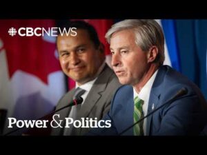CBC News – Premiers have different approaches, not divisions on tariff strategy: Houston | Power & Politics