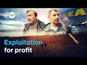 Flatpack forests – IKEA’s practices in the Carpathian Mountains | DW Documentary