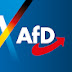 AfD TV - YouTube