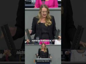 Grüne im Bundestag – Merz ist komplett empathielos!
