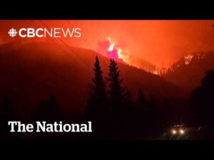 CBC News: The National – B.C. wildfire evacuees describe chaotic escape as more ordered to flee