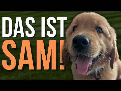 Welcome Sam! Das neuste Rudelmitglied stellt sich vor
