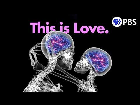 Scientists Finally Figured Out What Love Is For