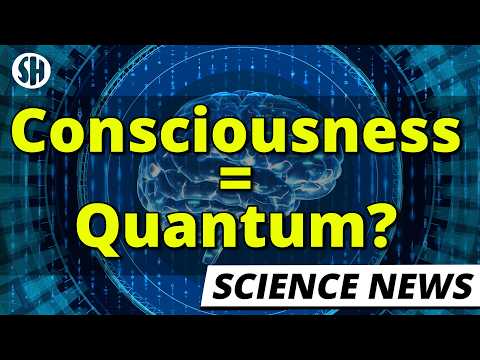 The Quantum Brain Theory Nobody is Talking About