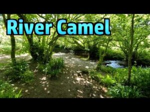 Atomic Shrimp – A Tranquil Walk by the River Camel (Bonus Wild Garlic Foraging & Cooking)