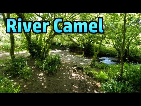 A Tranquil Walk by the River Camel (Bonus Wild Garlic Foraging & Cooking)