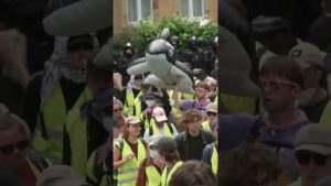 Morgens in Erfurt: Gegendemo bei AfD-Bundesparteitag | stern TV