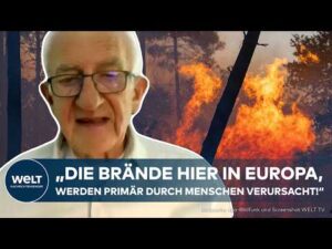 WELT Nachrichtensender – FEUER-ALARM IN EUROPA: „96 bis 98 Prozent sind menschengemacht“ – Goldammer warnt!