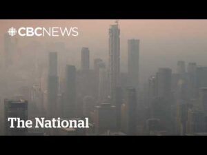 CBC News: The National – Wildfire smoke triggers spike in migraines across Canada: study