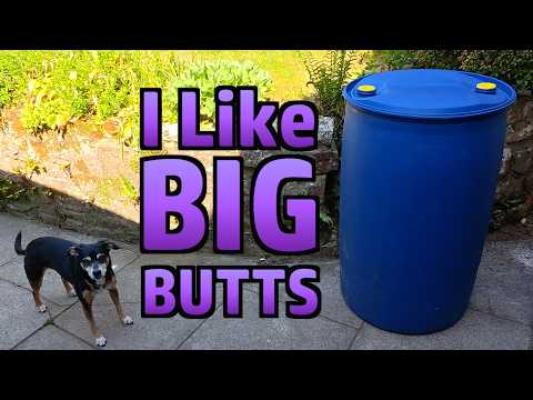 Random Stuff - Garden, Comment Positivity, Butt, Jug, Veg Box, Rat, Soup