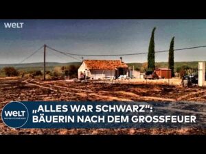 WELT Nachrichtensender – FLAMMEN IN FRANKREICH: Brände verwüsten ganze Landstriche! Bäuerin trauert um verbrannte Hühner