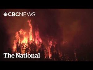 CBC News: The National – Two B.C. wildfires merge, homes destroyed
