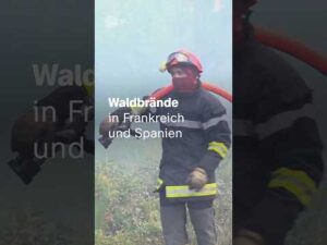 ZDFheute Nachrichten – Waldbrände: Neue Gefahr durch Plünderer | #Waldbrände #Spanien #Frankreich #Plünderungen