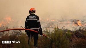 BBC RSS – Firefighters battle wildfire as tens of thousands evacuated near Bordeaux